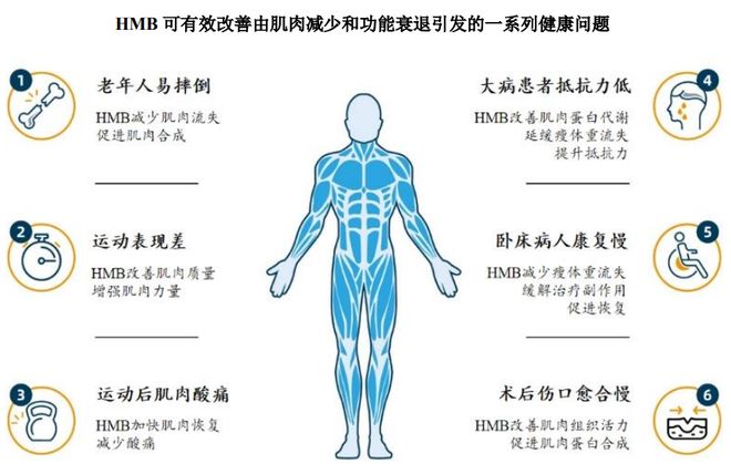 扎根运动健康赛道凭多元布局赢长远未来开元棋牌试玩HMB全球龙头技源集团：(图3)
