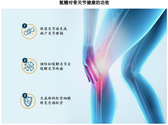 扎根运动健康赛道凭多元布局赢长远未来开元棋牌试玩HMB全球龙头技源集团：(图7)