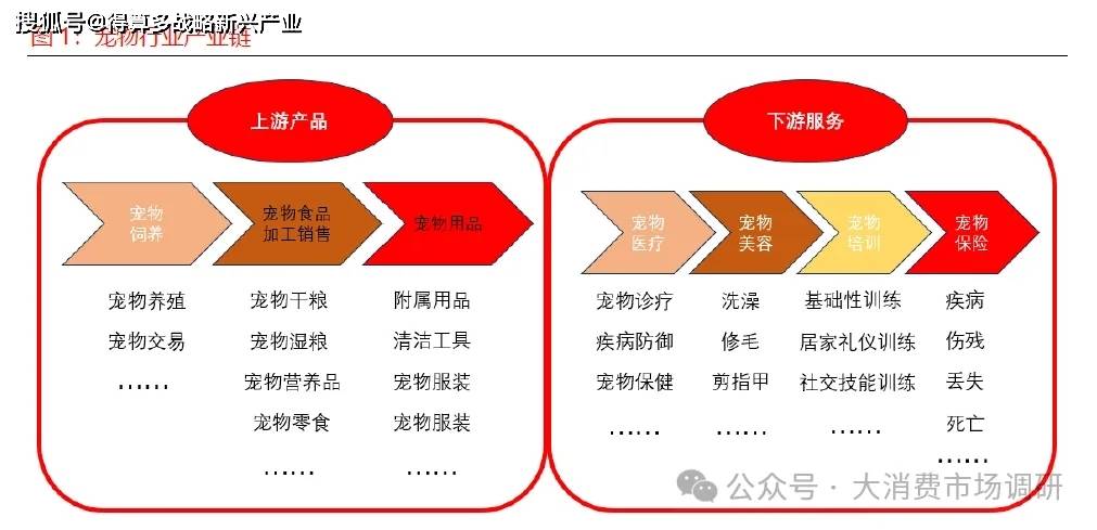 现状与驱动因素分析(15页报告)开元棋牌app宠物食品市场发展(图1) 现状与驱动因素分析(15页报告)开元棋牌app宠物食品市场发展(图1)