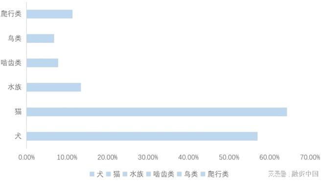：新家庭结构的消费镜像ky开元棋牌宠物经