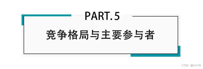 ：新家庭结构的消费镜像ky开元棋牌宠物经济(图5)
